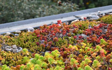 the cost of Great Wratting green roof installation