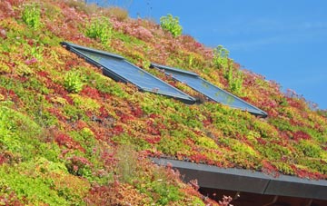 Great Wratting living roof systems